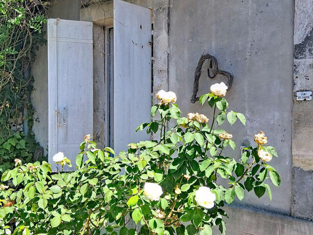 Maison proposé à Saint-Christoly-Médoc