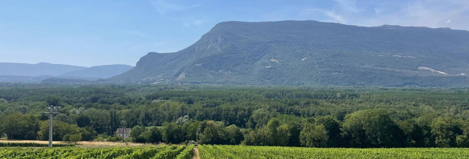Terrain  1621 m² à vendre à Ruffieux (73310)