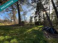 Maison à rénover avec grand terrain de 7149m², source et vue dégagée — photo 3