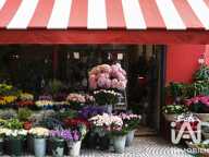 Vente Local commercial 60 m&sup2; — photo 3