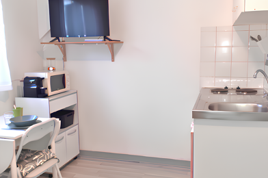 Appartement 1 pièces 410 €