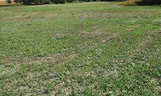 Terrain  61200 m² à vendre à Plumieux (22210)