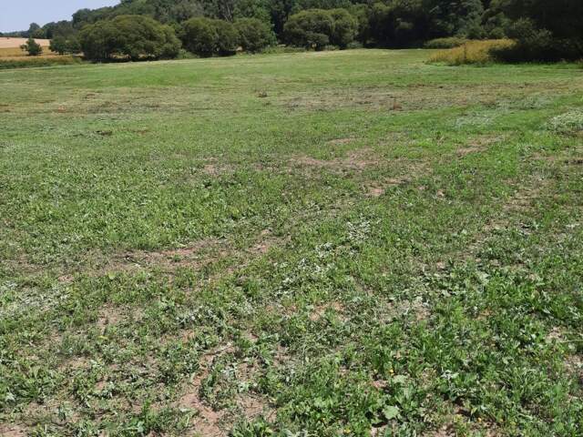 Vente Terrain 39 200 m&sup2; — photo du bien