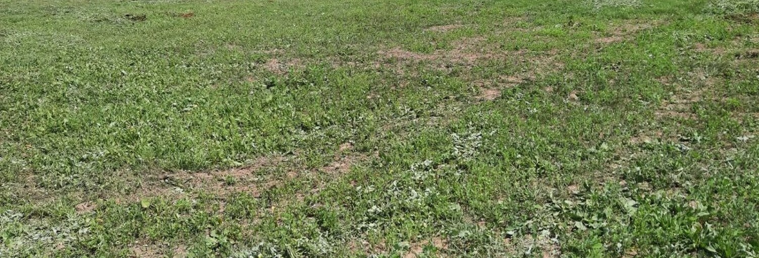 Terrain  61200 m² à vendre à Plumieux (22210)