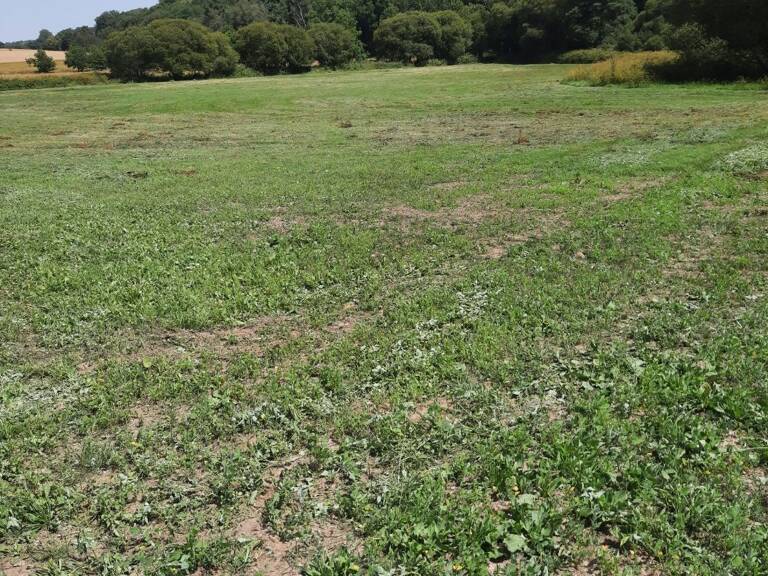 Vente Terrain 39 200 m&sup2; — photo 1