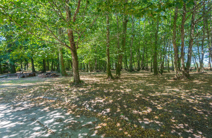 MAISON 225 M2 - PARC DE 8100 M2 - BEL ENVIRONNEMENT — photo 5
