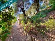 SAINTE-AGNÈS  MAISON 5 PIÈCES AVEC VUE MER SUR PLUS DE 6 500 m² DE TERRAIN — photo 4