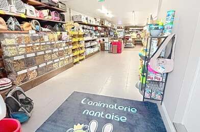 Commerce  25000 €