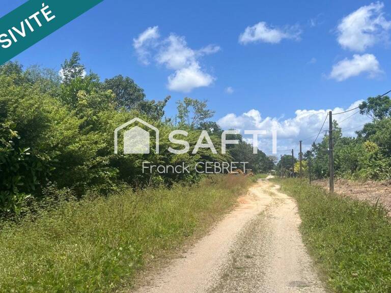Terrain à bâtir - Champs Virgile / Carapa — photo 1