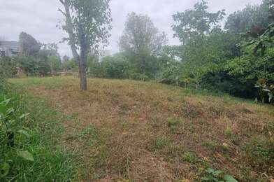 Terrain  160000 €