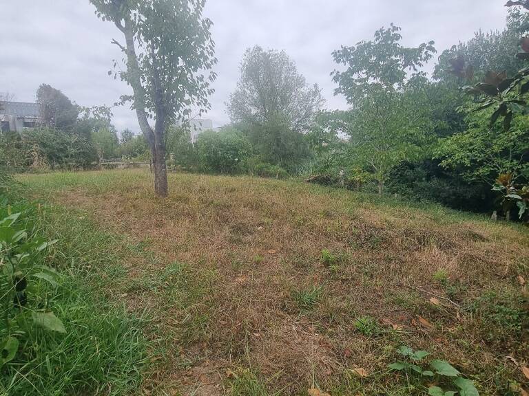 Terrain — photo 1