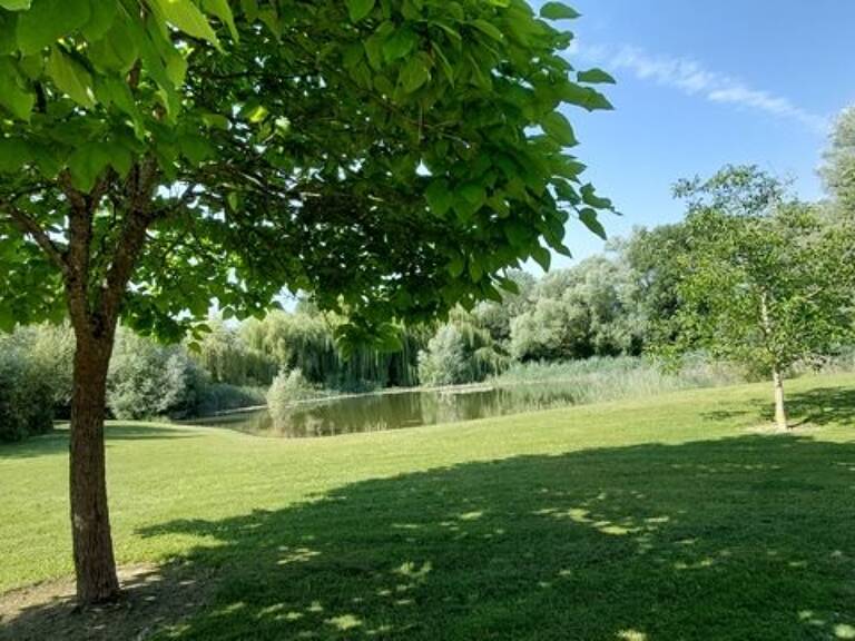 Etang de 0 pièces principales — photo 1