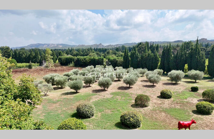 Propriété à vendre à Saint-Rémy-de-Provence - Vue exceptionnel — photo 4