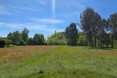 Terrain  77000 €