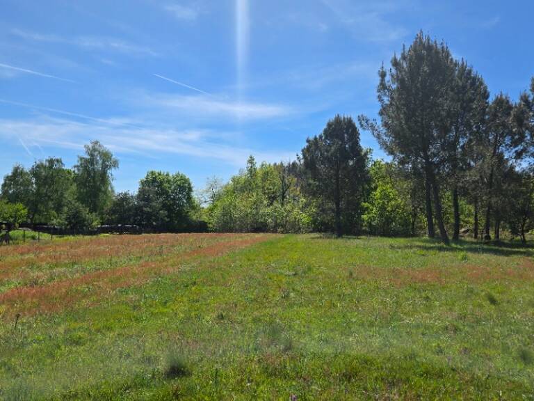Terrain à bâtir à Aubie-et-Espessas (33240) — photo 1