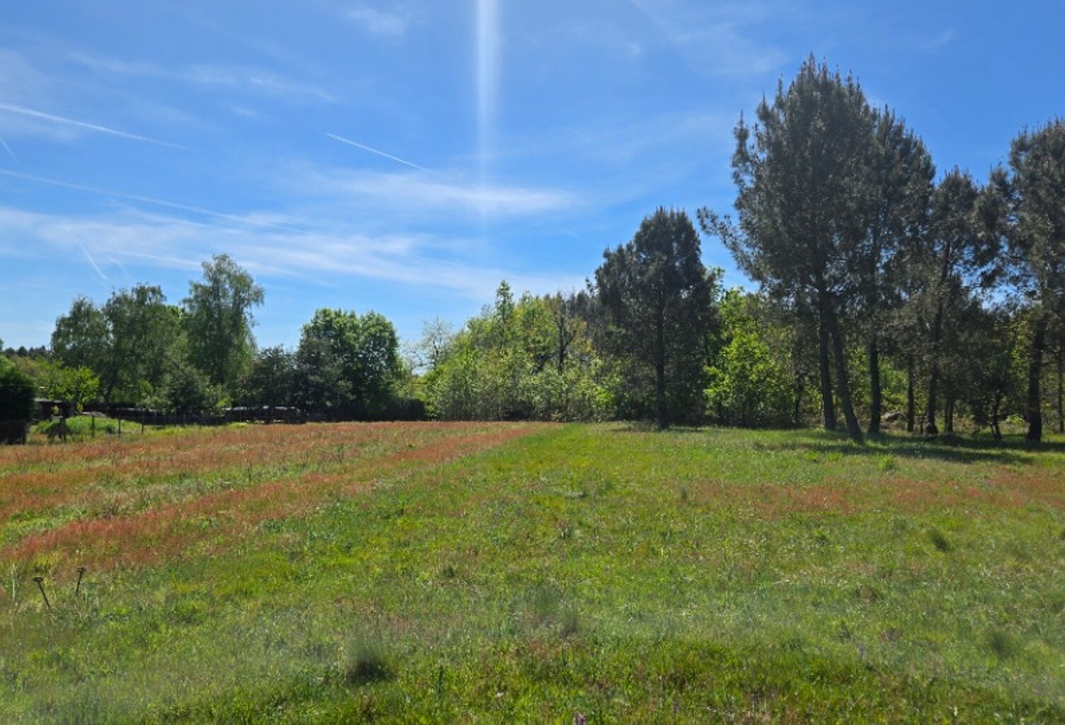 Terrain à bâtir à Aubie-et-Espessas (33240) — photo 1