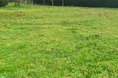 Terrain  45000 €