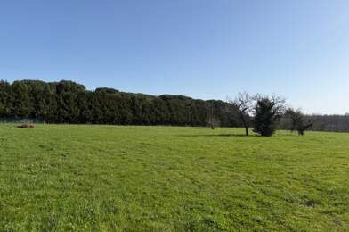 Terrain  120000 €