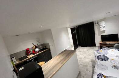 Appartement 1 pièces 495 €