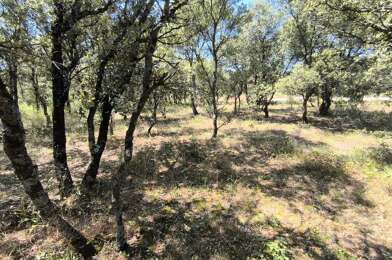Terrain  225000 €