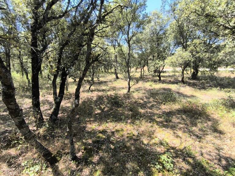 ST RESTITUT (26130) : magnifique terrain de  2000 m²! — photo 1