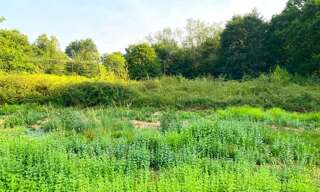 Terrain  1274 m² à vendre à Morcenx-la-Nouvelle (40110)