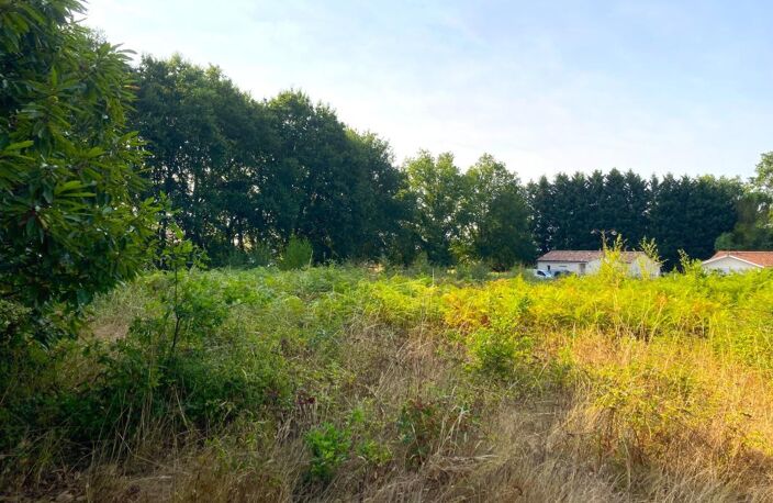 Terrain À Vendre à MORCENX la NOUVELLE — photo 3