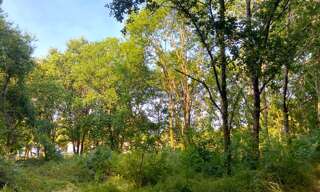 Terrain  913 m² à vendre à Morcenx-la-Nouvelle (40110)