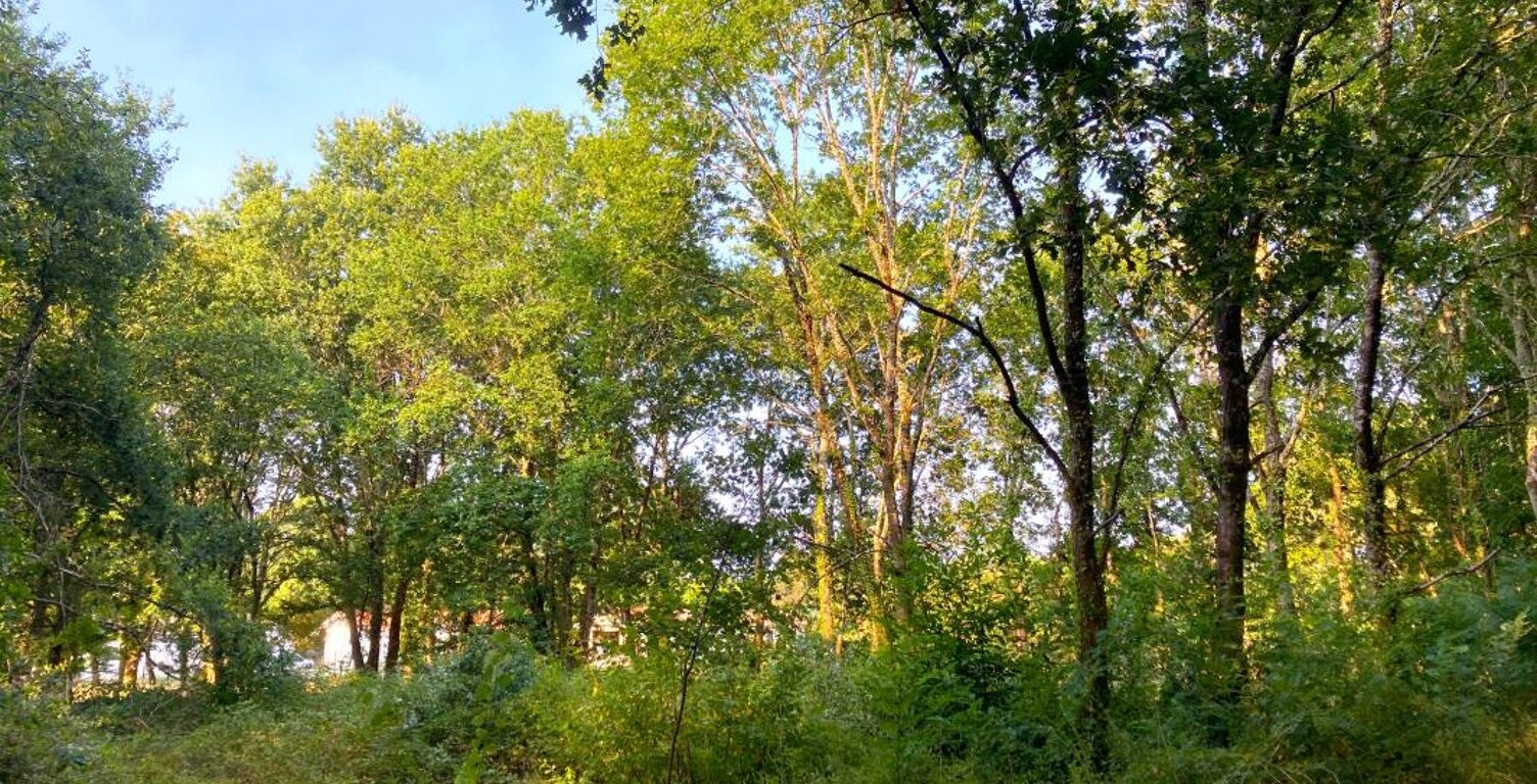 Terrain À Vendre à MORCENX la NOUVELLE — photo 1