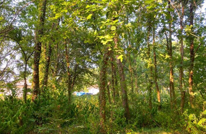 Terrain À Vendre à MORCENX la NOUVELLE — photo 3
