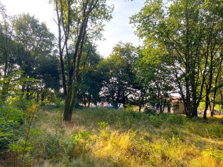 Terrain À Vendre à MORCENX la NOUVELLE — photo 1