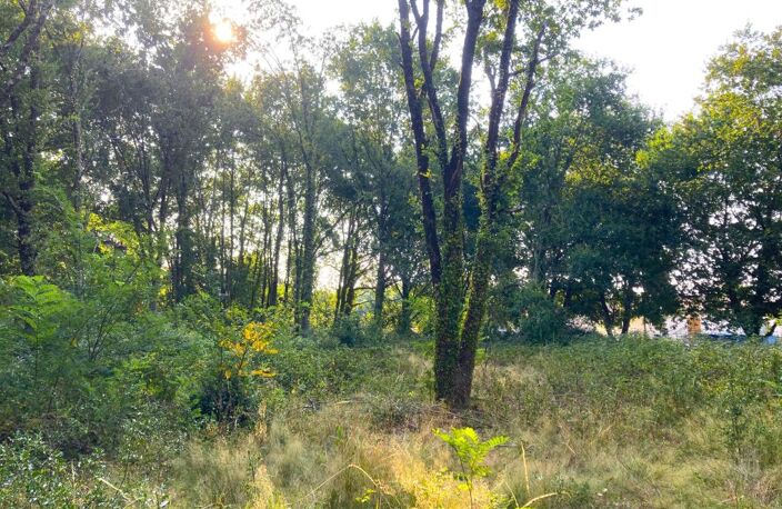 Terrain À Vendre à MORCENX la NOUVELLE — photo 4