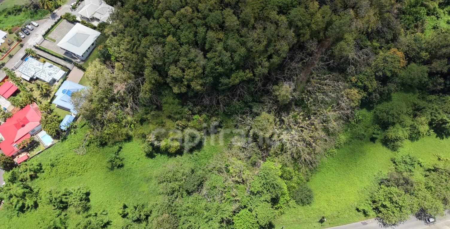 Terrain à vendre de 3000  LES ABYMES (971) — photo 1