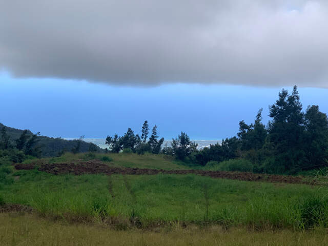 Propriétè Agricole de 22ha avec Gîte, chalet et étable aux MAKES — photo du bien
