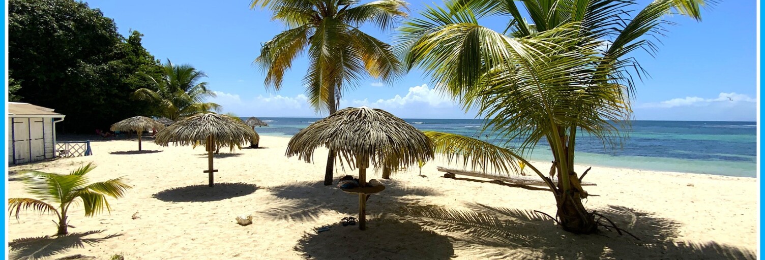 Photo N° 2