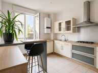 Appartement de caractère rénové ,134 m², 3 chambres, 2 caves, 1 grenier, 1 jardin en rez-de- chaussée — photo 4