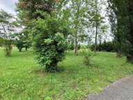 A LOUER MAISON 3 CHAMBRES sur 5000 m2 A CAVIGNAC — photo 3