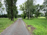 A LOUER MAISON 3 CHAMBRES sur 5000 m2 A CAVIGNAC — photo 4