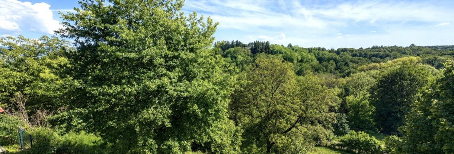 Maison 5 Pièces 166 m² à vendre à Châtillon-la-Palud (01320)