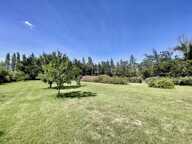 Mas familial sur 8000m2 de terrain à Arles — photo 4