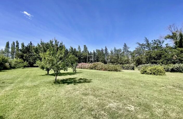 Mas familial sur 8000m2 de terrain à Arles — photo 5