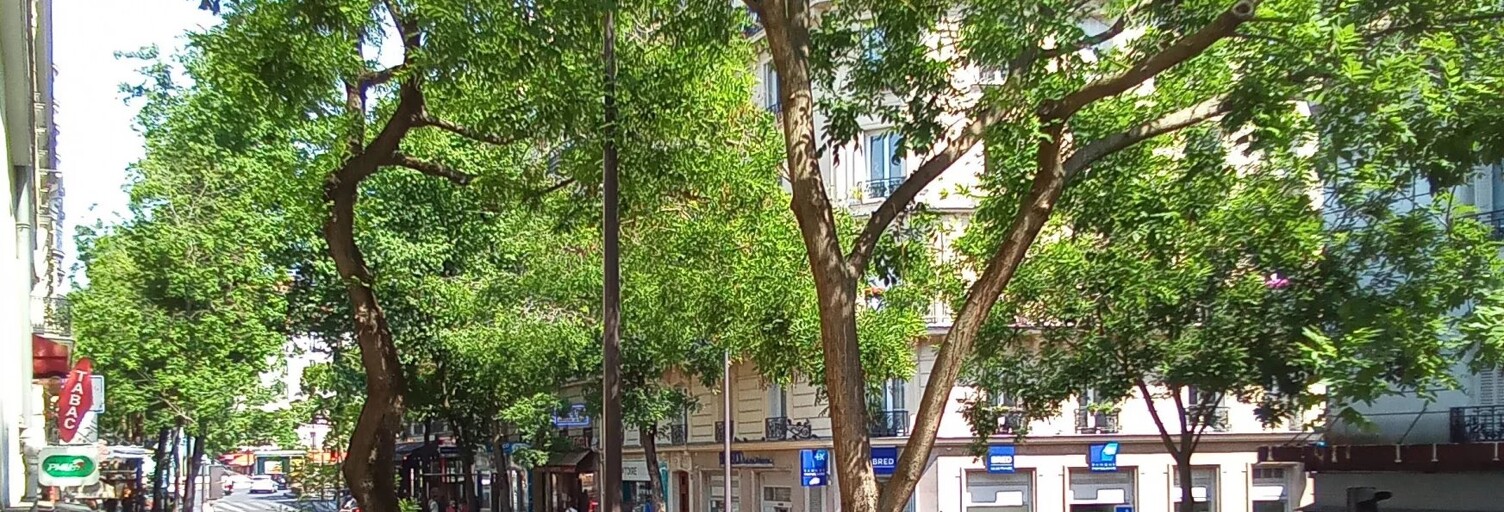 Photo du bien