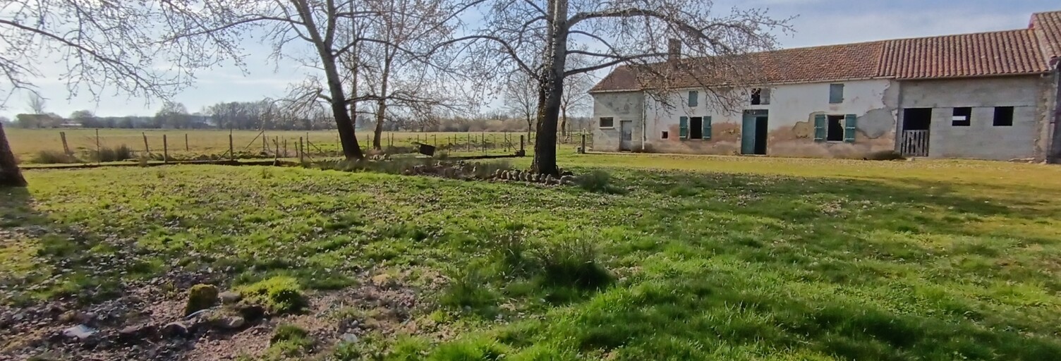 Photo N° 2