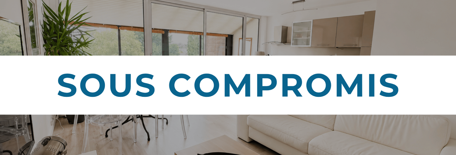 Appartement 4 Pièces 79 m² à vendre à motte castrale du Breucq (59491)