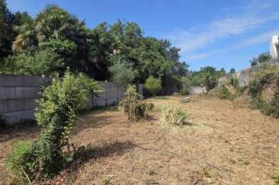 Terrain  317500 €