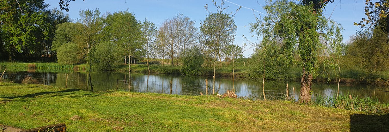Photo N° 2