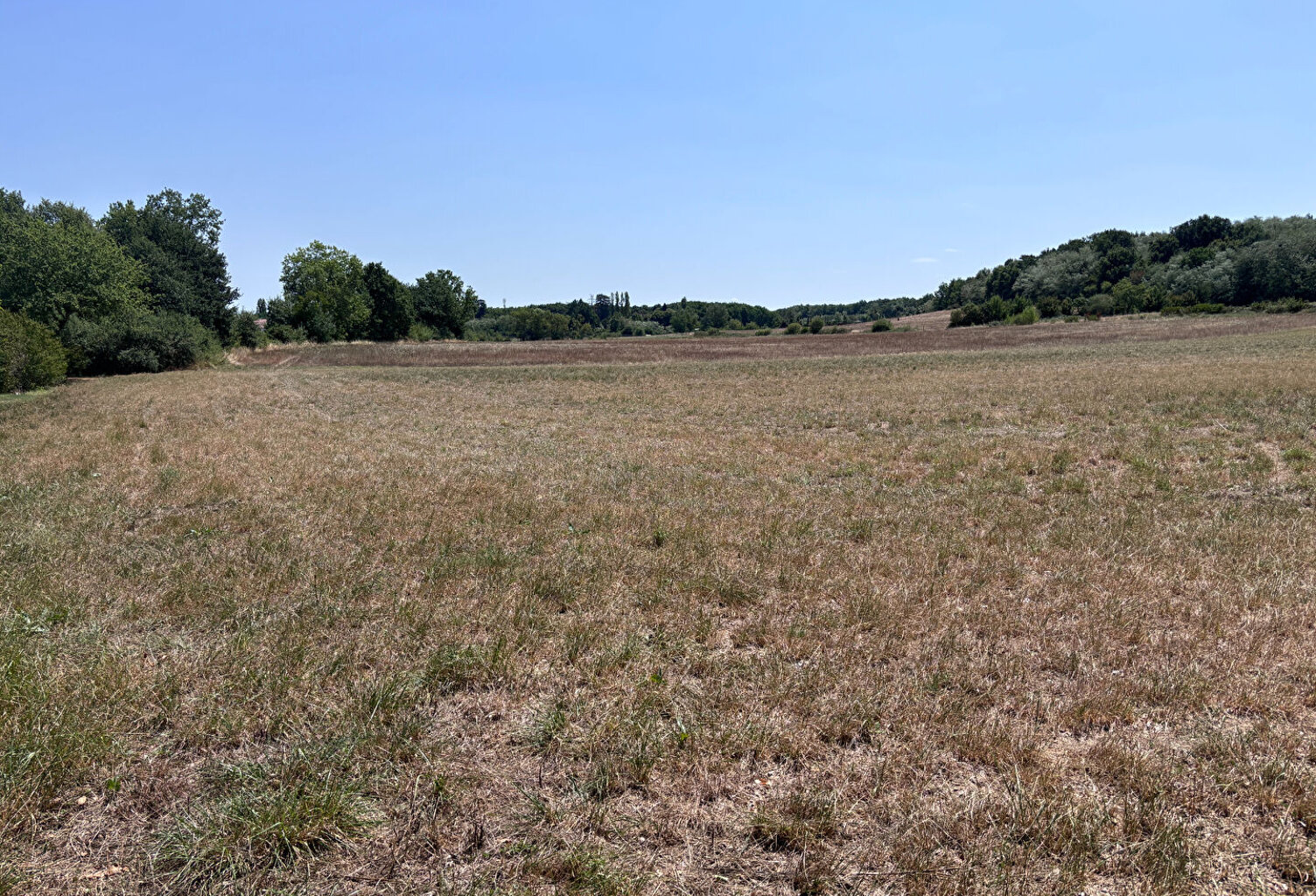 Grand terrain à viabiliser de 11 010 m² à Saint Nauphary — photo 1