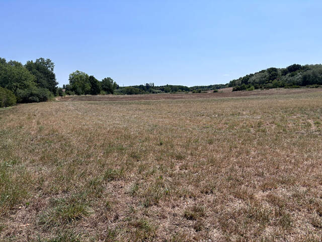 Grand terrain à viabiliser de 11 010 m² à Saint Nauphary — photo du bien