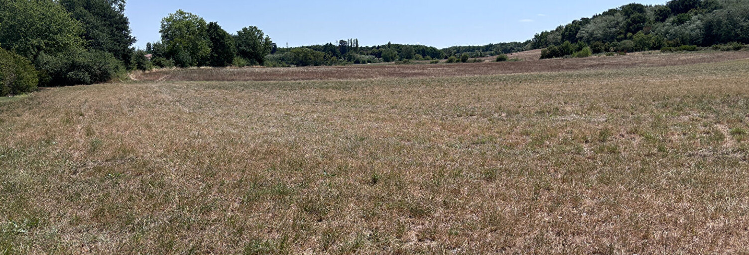 Terrain  11010 m² à vendre à Saint-Nauphary (82370)