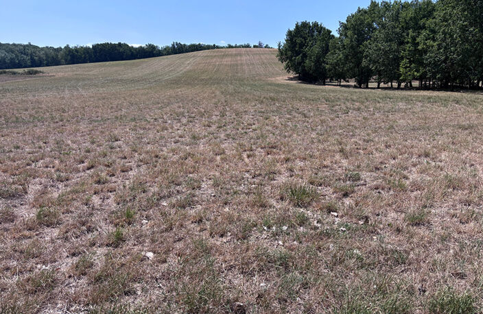 Grand terrain à viabiliser de 11 010 m² à Saint Nauphary — photo 4
